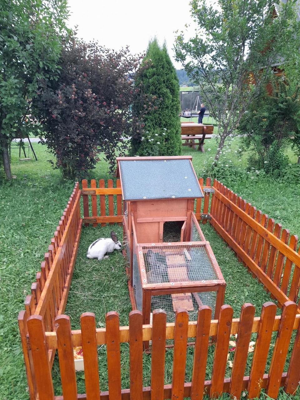Pokoje Goscinne Budzowie Czarna Gora Exterior photo